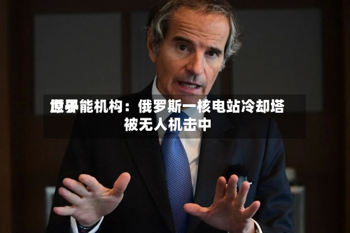 世界原子能机构：俄罗斯一核电站冷却塔被无人机击中