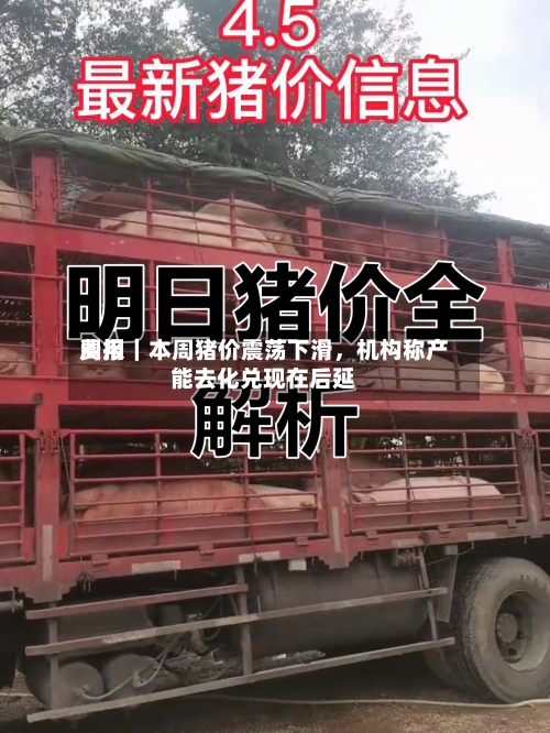 费用周报｜本周猪价震荡下滑	，机构称产能去化兑现在后延-第3张图片