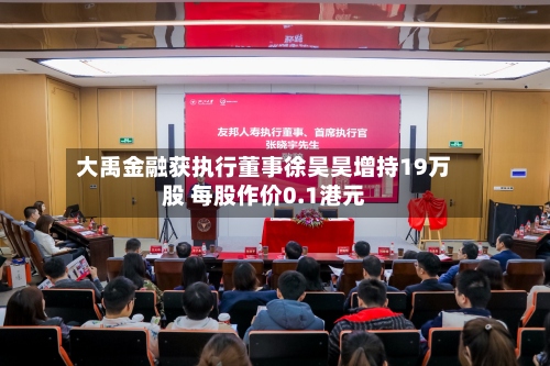 大禹金融获执行董事徐昊昊增持19万股 每股作价0.1港元-第2张图片