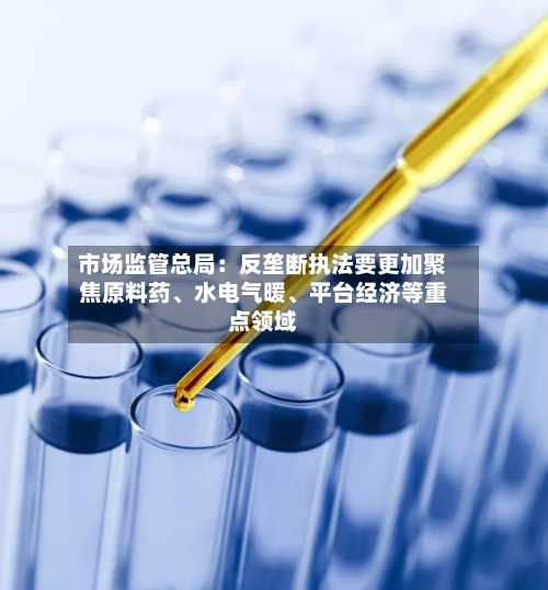 市场监管总局：反垄断执法要更加聚焦原料药、水电气暖、平台经济等重点领域