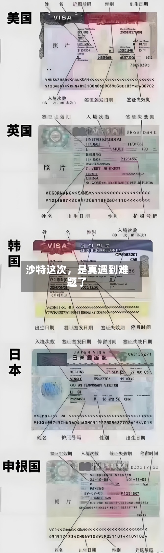 沙特这次，是真遇到难题了-第2张图片