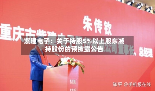 紫建电子：关于持股5%以上股东减持股份的预披露公告