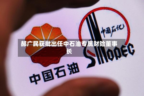 郝广民获批出任中石油专属财险董事长-第2张图片