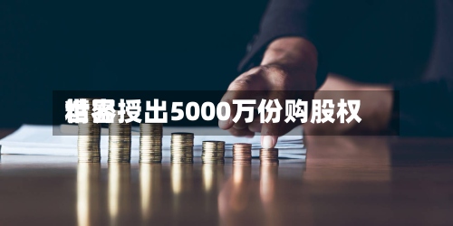 世界精密授出5000万份购股权-第2张图片