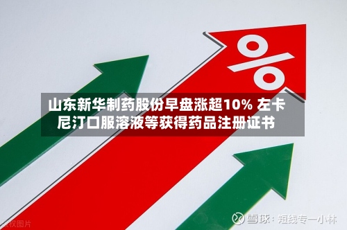 山东新华制药股份早盘涨超10% 左卡尼汀口服溶液等获得药品注册证书-第2张图片