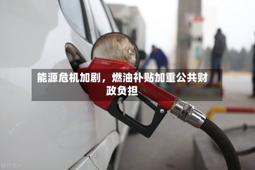 能源危机加剧，燃油补贴加重公共财政负担-第2张图片