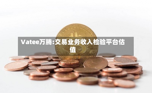 Vatee万腾:交易业务收入检验平台估值-第3张图片