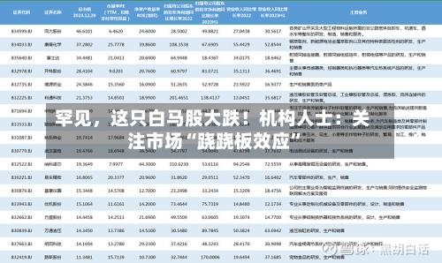罕见，这只白马股大跌！机构人士：关注市场“跷跷板效应”-第2张图片