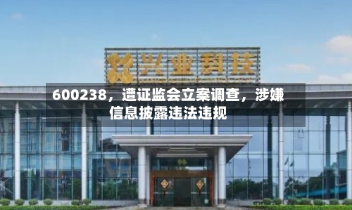 600238	，遭证监会立案调查，涉嫌信息披露违法违规-第3张图片
