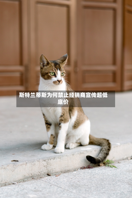 斯特兰蒂斯为何禁止经销商宣传超低底价-第1张图片