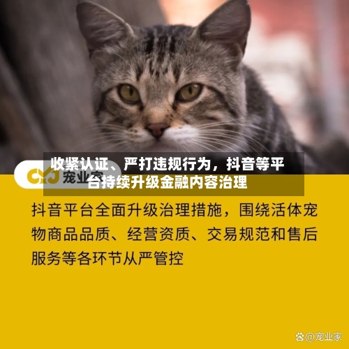 收紧认证	、严打违规行为，抖音等平台持续升级金融内容治理-第2张图片
