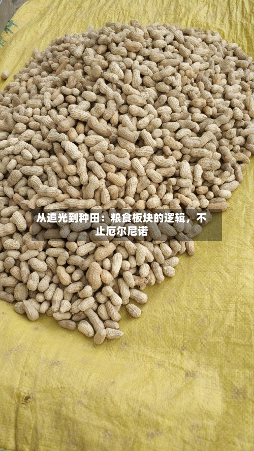 从追光到种田：粮食板块的逻辑，不止厄尔尼诺