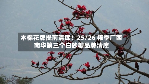 木棉花牌提前清库！25/26 榨季广西南华第三个白砂糖品牌清库-第1张图片