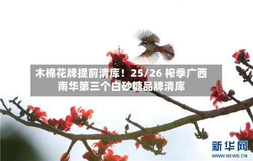 木棉花牌提前清库！25/26 榨季广西南华第三个白砂糖品牌清库-第3张图片