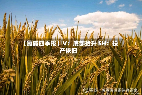 【氯碱四季报】V:底部抬升 SH:投产依旧-第1张图片