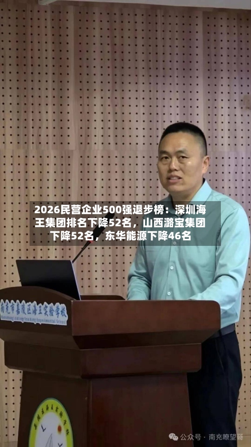 2026民营企业500强退步榜：深圳海王集团排名下降52名，山西潞宝集团下降52名，东华能源下降46名