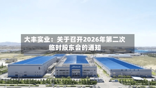 大丰实业：关于召开2026年第二次临时股东会的通知