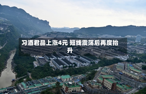 习酒君品上涨4元 短线震荡后再度抬升-第2张图片