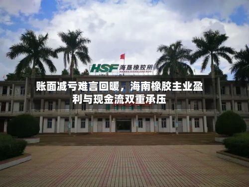 账面减亏难言回暖，海南橡胶主业盈利与现金流双重承压