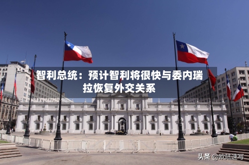 智利总统：预计智利将很快与委内瑞拉恢复外交关系