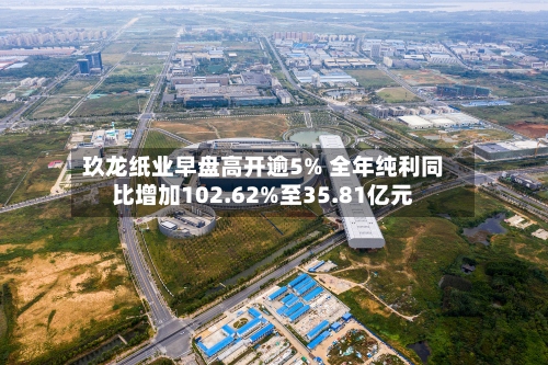 玖龙纸业早盘高开逾5% 全年纯利同比增加102.62%至35.81亿元-第1张图片