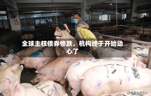 全球主权债券惨跌，机构终于开始动心了-第2张图片