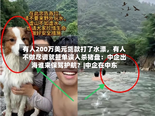 有人200万美元货款打了水漂	，有人不做尽调就签单误入杀猪盘：中企出海谁来保驾护航？|中企在中东-第2张图片