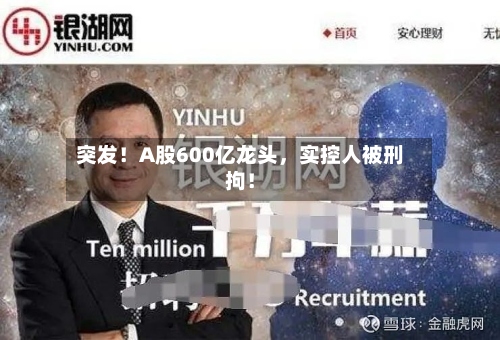 突发！A股600亿龙头	，实控人被刑拘！-第2张图片