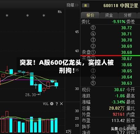 突发！A股600亿龙头，实控人被刑拘！
