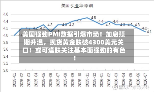 美国强劲PMI数据引爆市场！加息预期升温，现货黄金跌破4300美元关口！或可逢跌关注基本面强劲的有色！-第2张图片