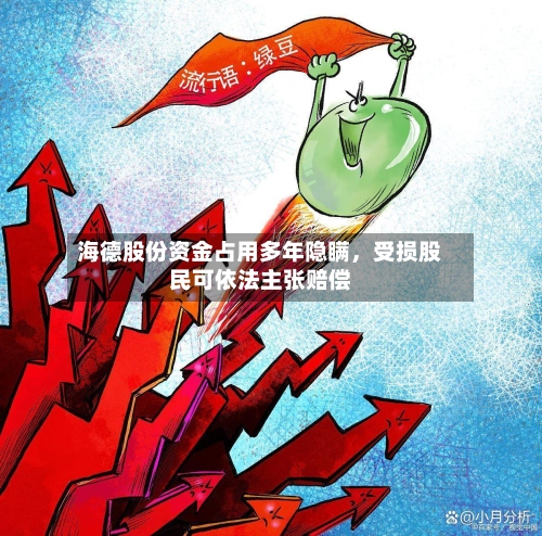 海德股份资金占用多年隐瞒，受损股民可依法主张赔偿