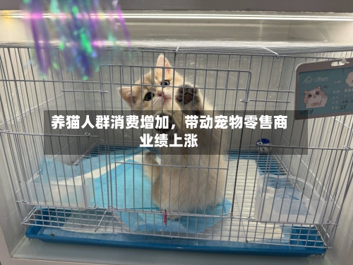 养猫人群消费增加，带动宠物零售商业绩上涨-第2张图片