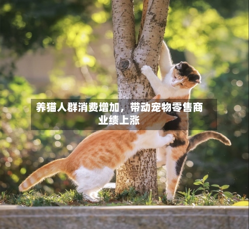 养猫人群消费增加	，带动宠物零售商业绩上涨-第1张图片