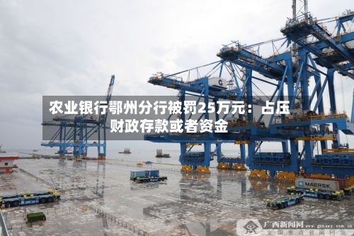 农业银行鄂州分行被罚25万元：占压财政存款或者资金