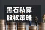黑石私募股权策略主管Joe Baratta据悉洽谈离职