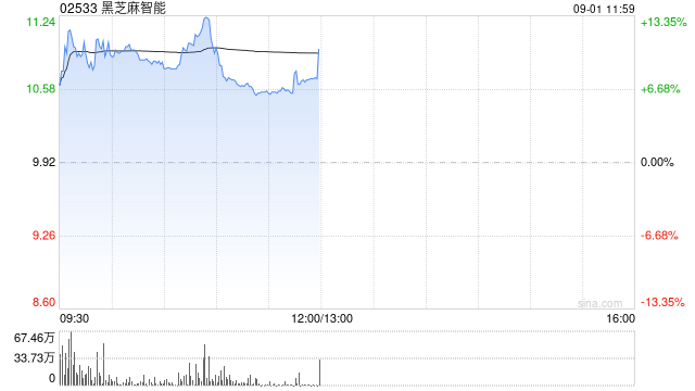 黑芝麻智能盘中涨超12% 上半年营收同比增长81.3%至4.58亿元