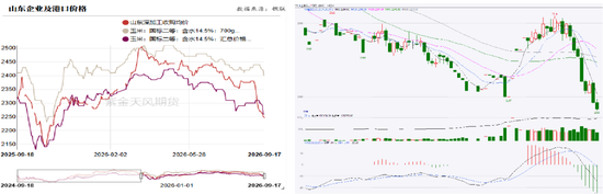 玉米：期现双弱，破位寻底
