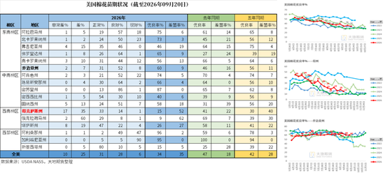 【棉花季报】估值定重心，消费定高度